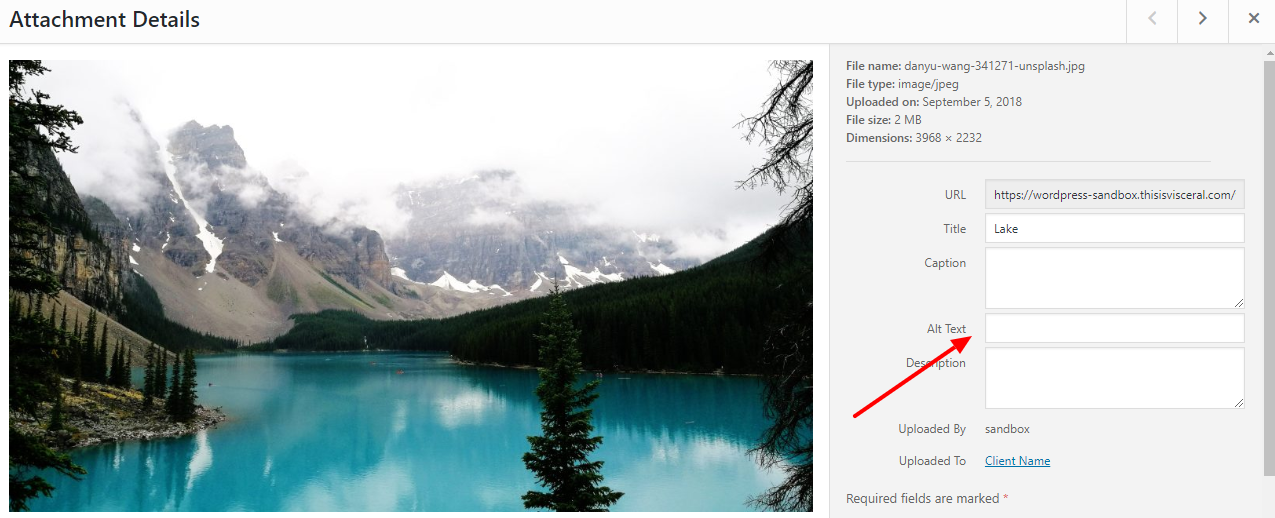 Image of WordPress media library showing generic lake image with blank alt text